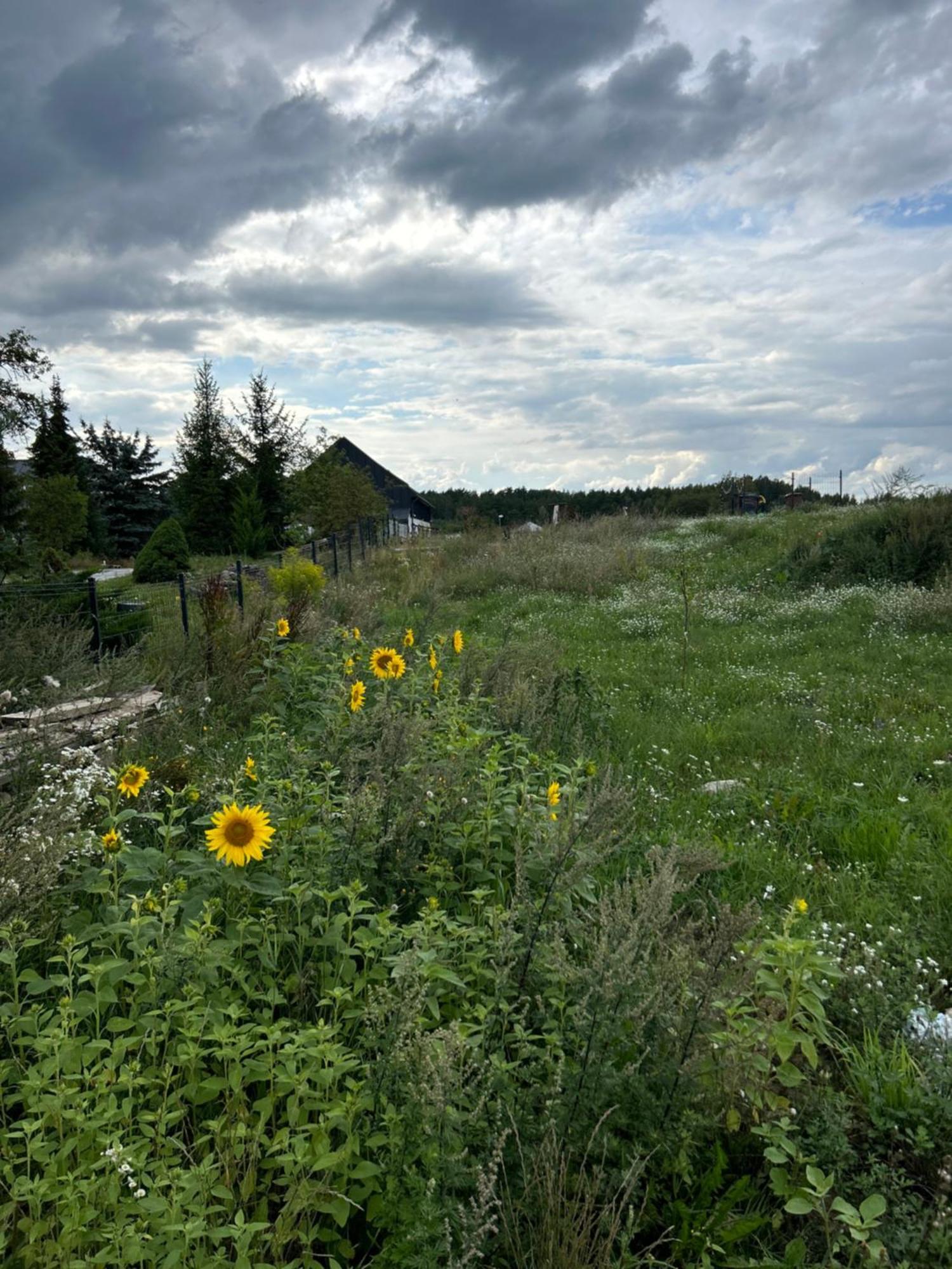 MikołajkiNowa Stodola Koniec Swiataアパートメント エクステリア 写真